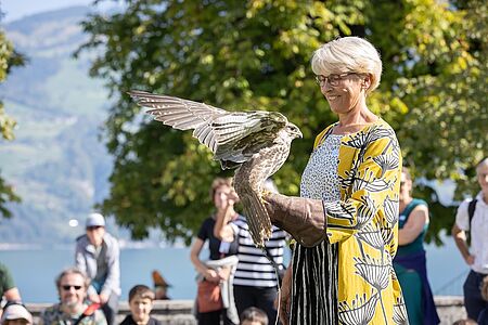 Angebote & Veranstaltungen